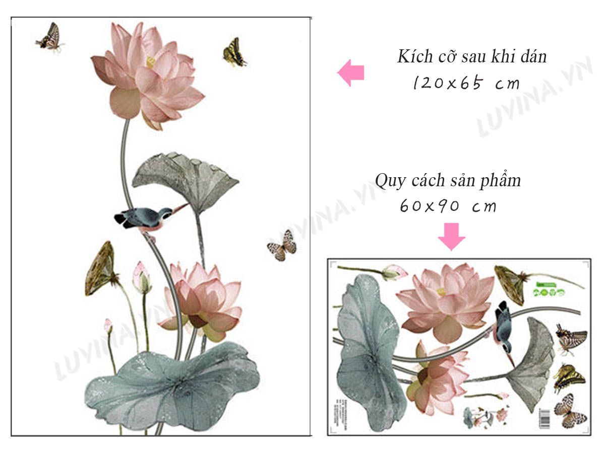 DECAL DÁN TƯỜNG HOA SEN 11