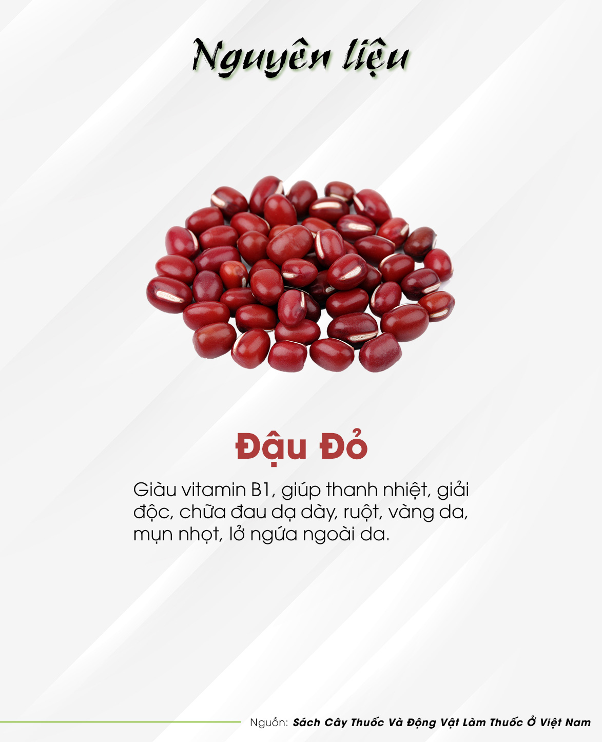 TRÀ ĐẬU ĐỎ - Trà Hùng Phát