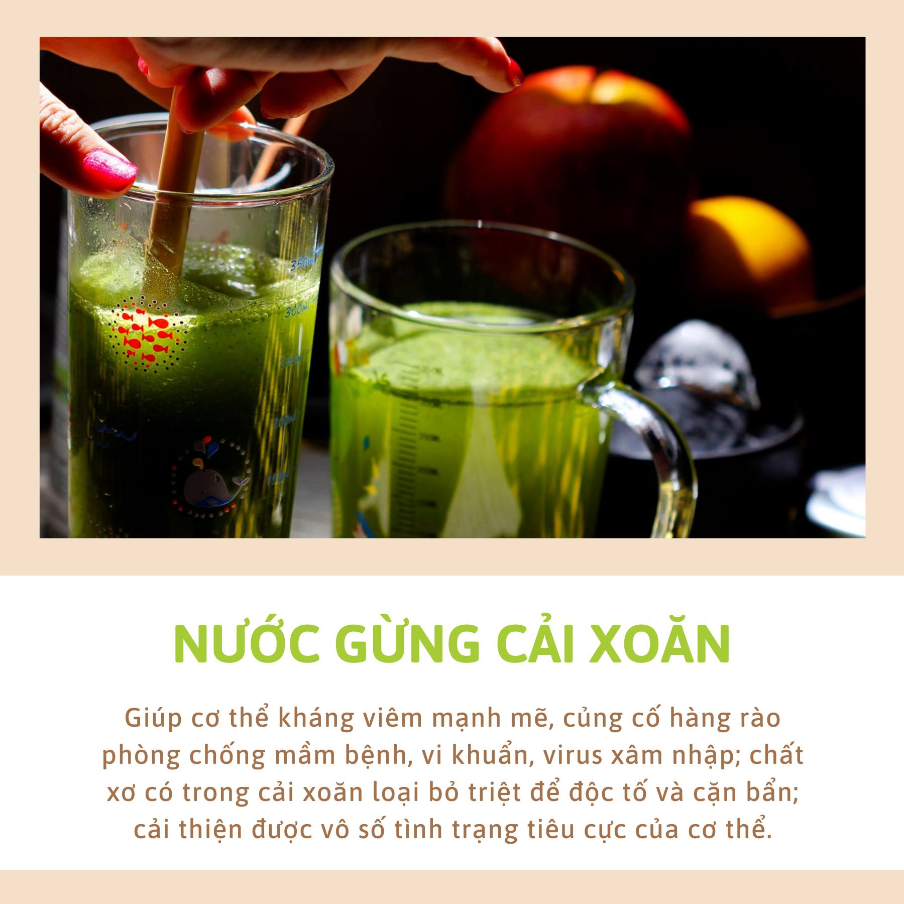 [DALAHOUSE] Bột Cải Xoăn (Kale Powder) - hộp thiếc 150 gram