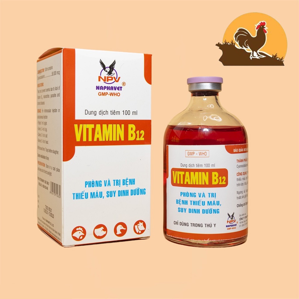 VITAMIN B12 100ML cho gà đá