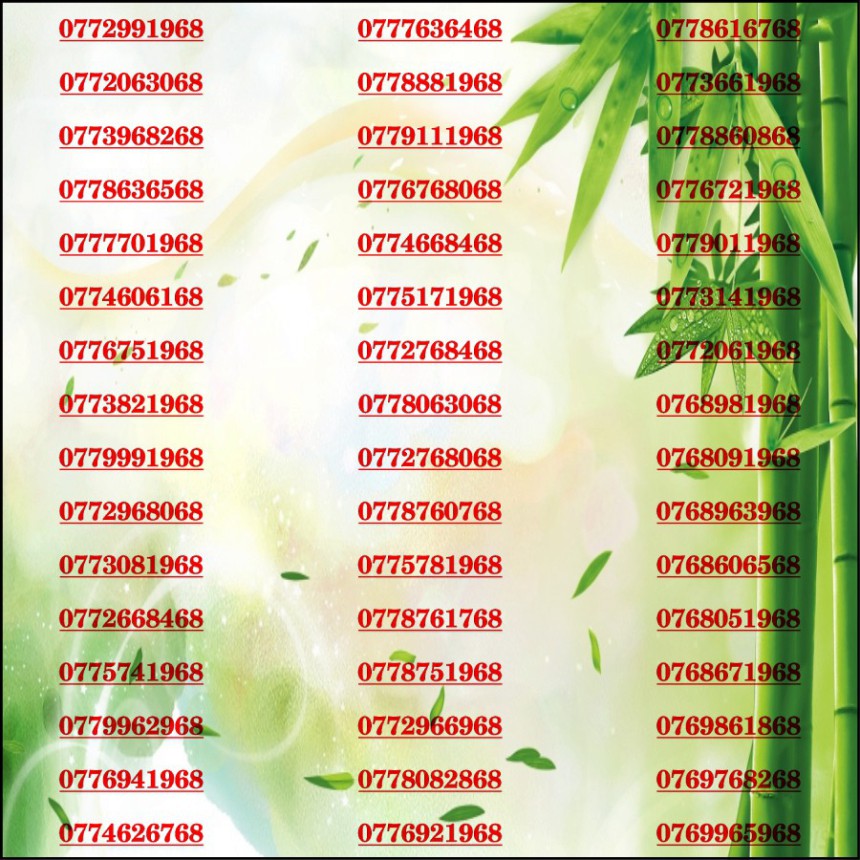 [HCM]Sim đẹp Lộc Phát 68 Mobi