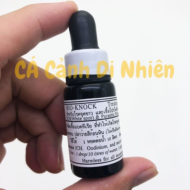 Bio knock 1 2 3 4, phòng và trị nấm cho cá cảnh