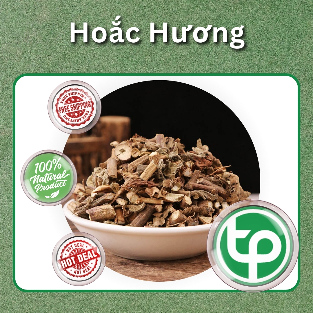 Hoắc hương khô 500g - Thảo Dược Tấn Phát - Hỗ trợ buồn nôn và đau bụng lạnh