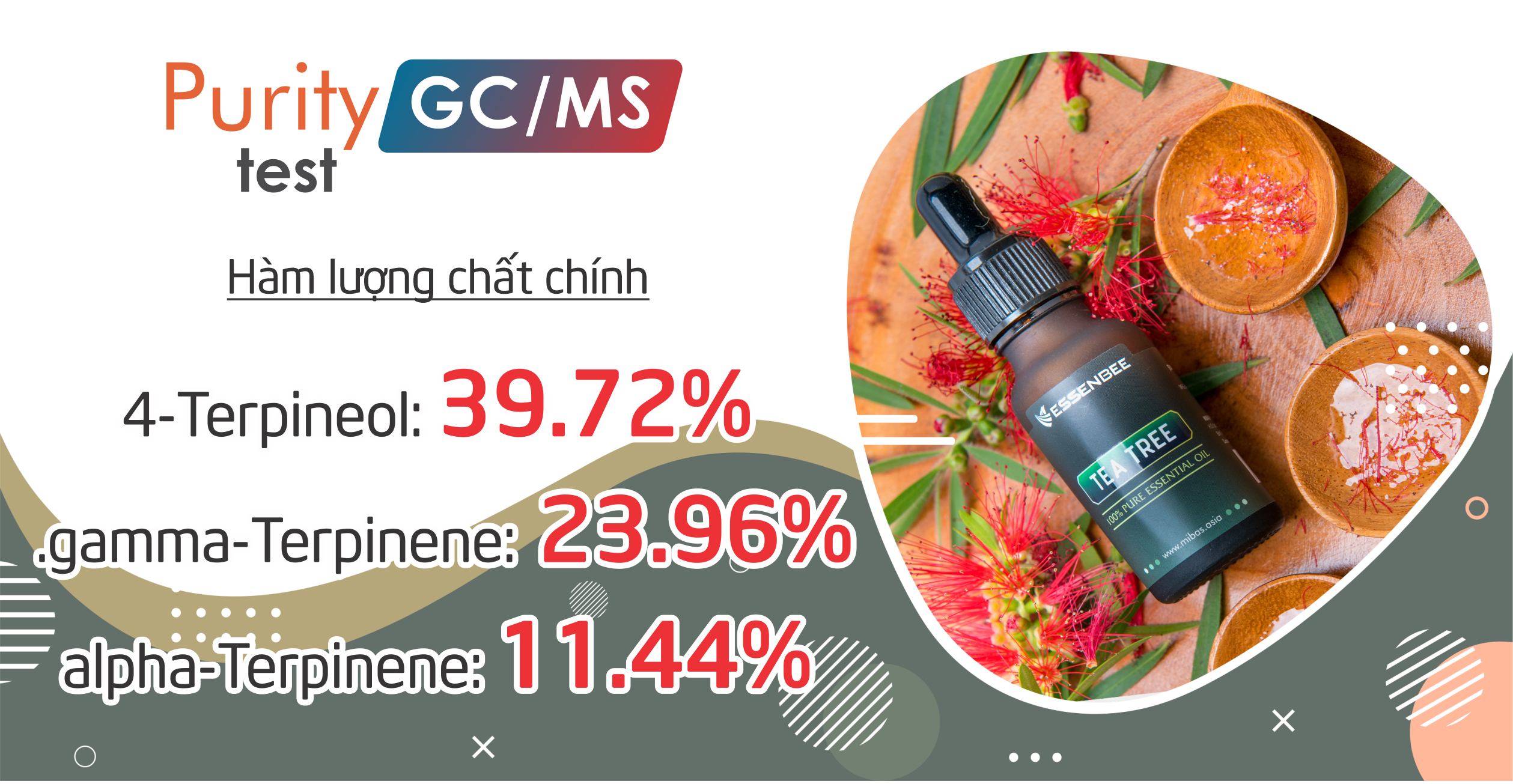 Tinh dầu Tràm Trà (Tea Tree) Essenbee - 10ml