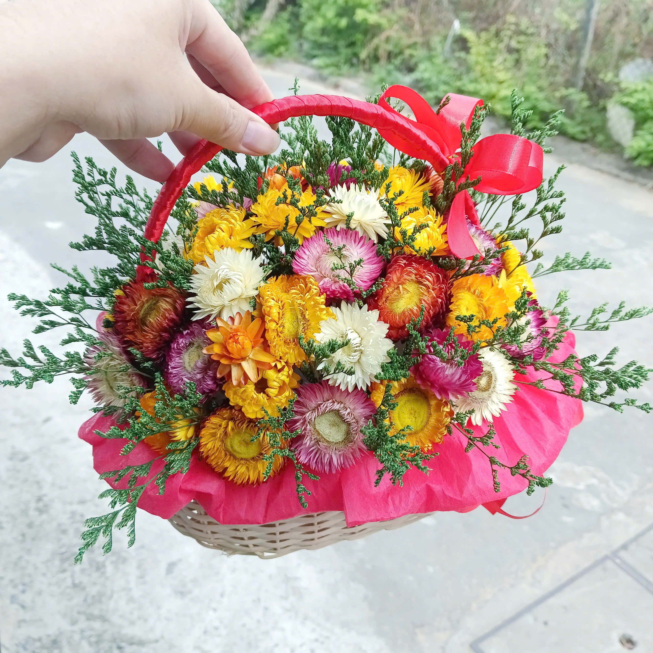 hoa khô - giỏ hoa cúc bất tử, salem mix