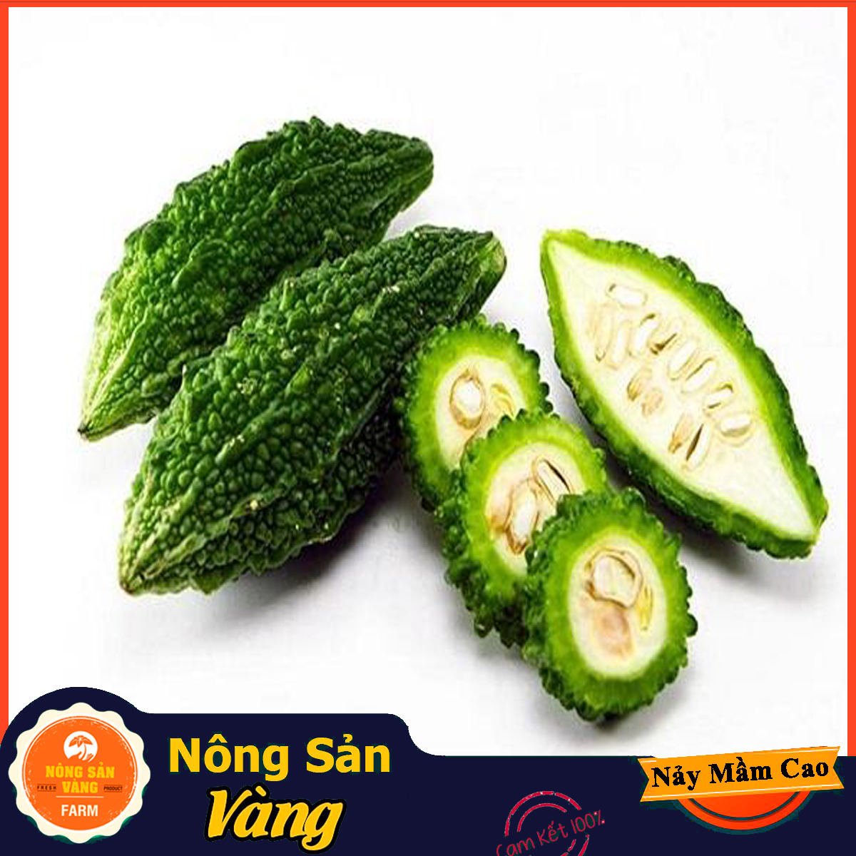 Wild bitter melon seeds (through the forest) easy to grow year-round, many people like (pack of 10 seeds)-shallow yellow