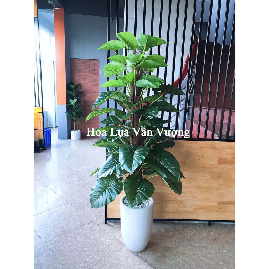 Cây Giả 🌺 Cây Trầu Bà 63 Lá Cao 1,6m