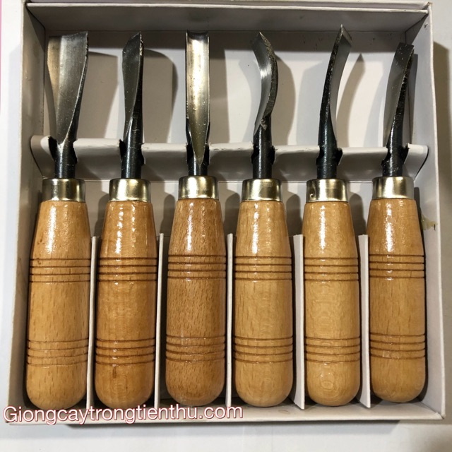 BỘ ĐỤC CÂY CẢNH,GỖ MỸ NGHỆ 6 MÓN