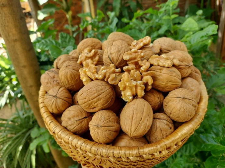 Quả óc chó vàng Mỹ ( 500gr)