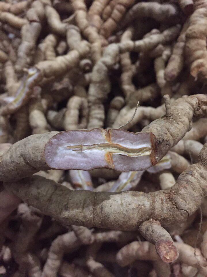 [HCM]Ba kích tím 1kg