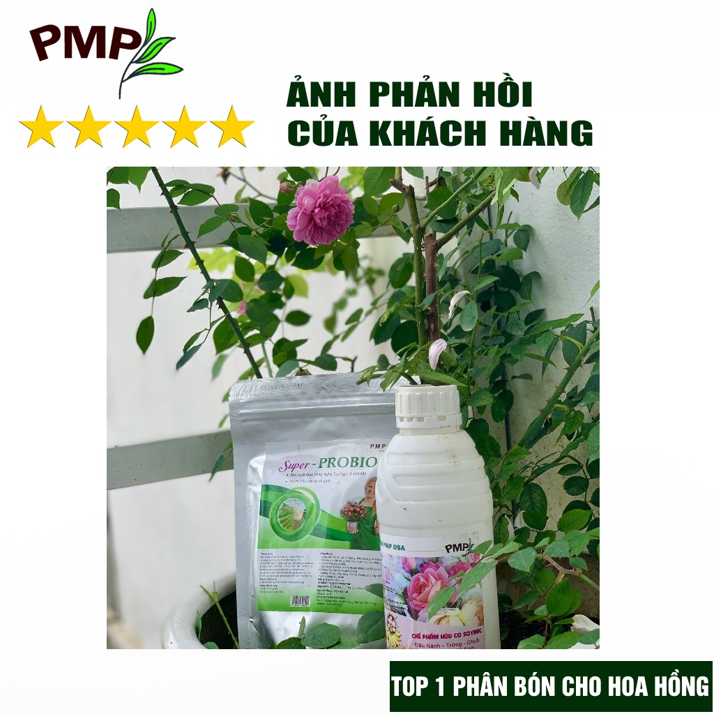 Phân Bón Hoa Hồng SOYMIC & Super Probio PMP Viên Nén Tan Chậm