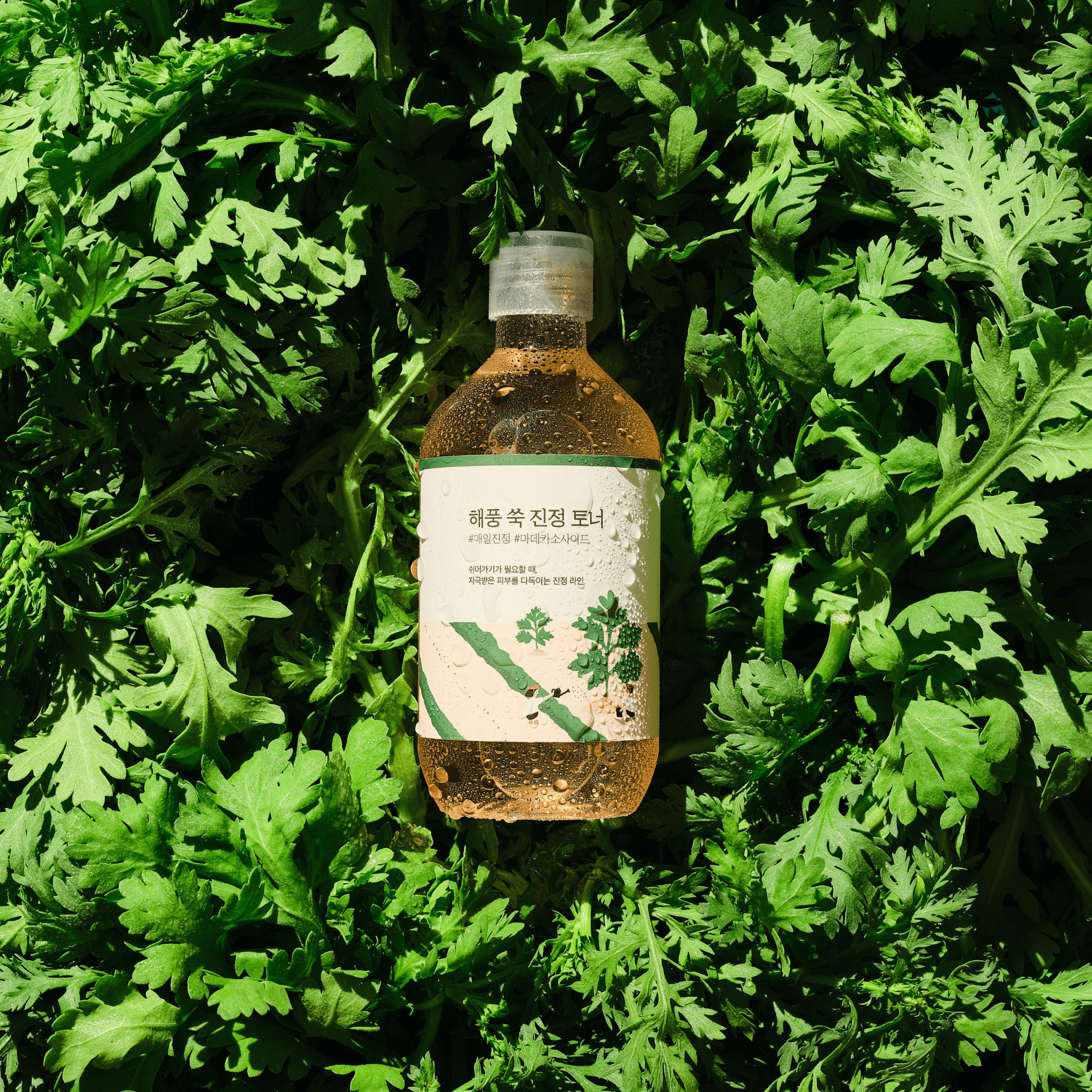 Dòng dưỡng ngải cứu roundlab mugwort calming