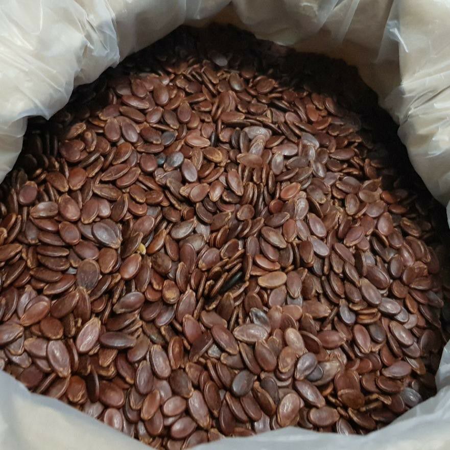 Hạt Dưa Không Màu Tứ Hưng Loại 1 Bao Bì Mới