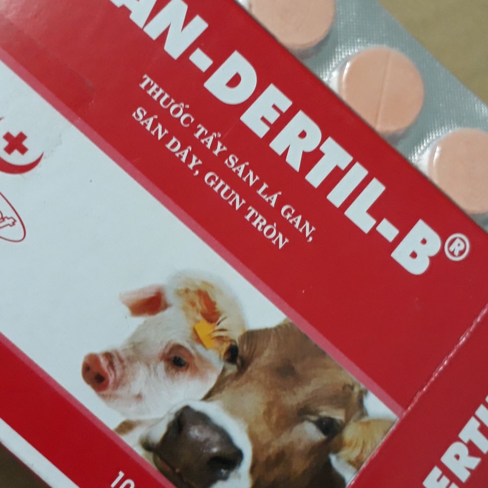 sán lá gan trâu bò,giun đường ruột ống mật 6 viên handertil