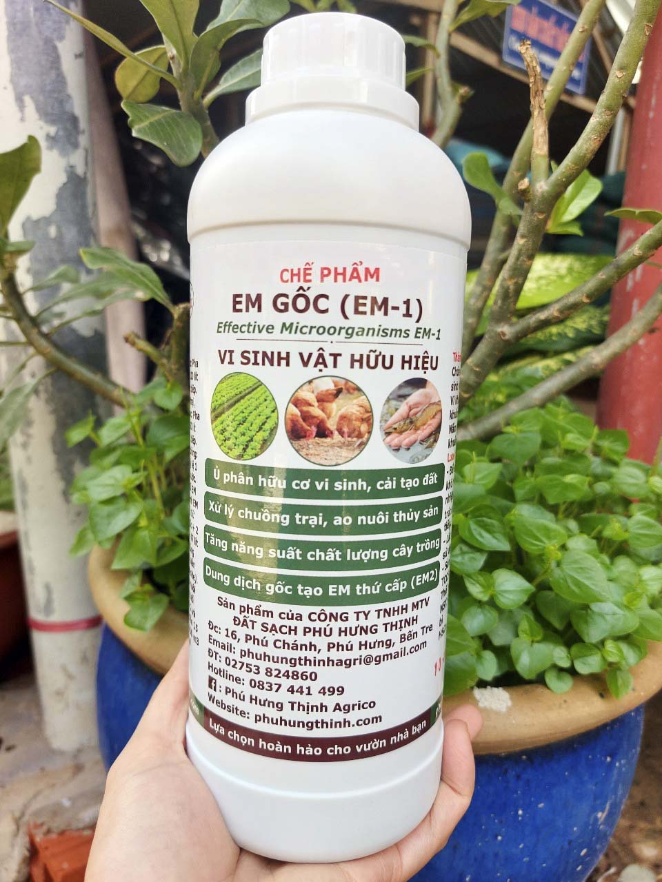 Chế phẩm EM gốc (1 Lít), EM-1 mật độ vi sinh cao