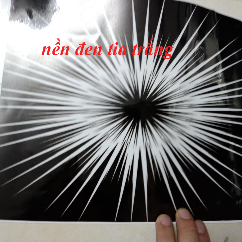 Decal Tia Dán Biển Số (giá 1 cái)