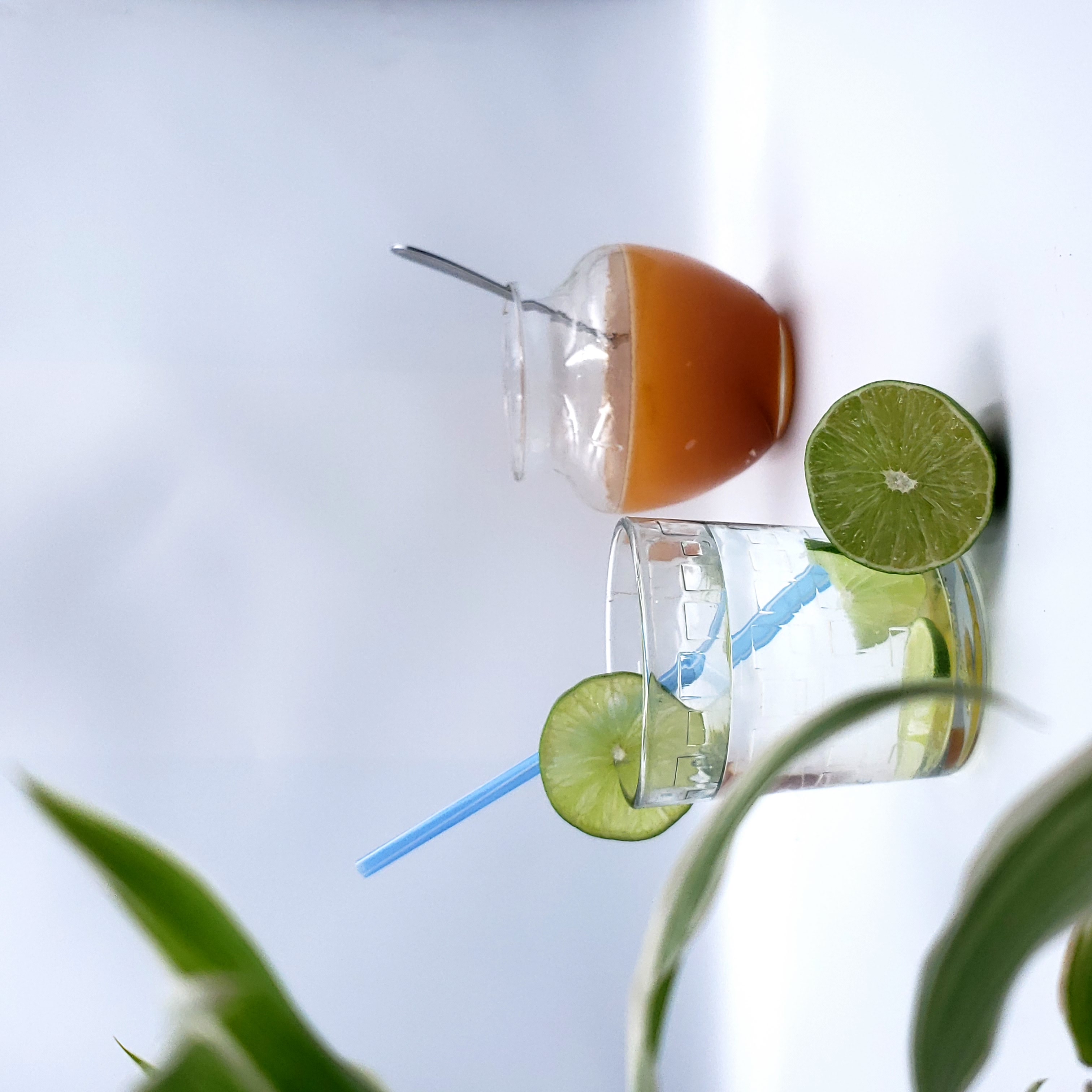 Mật ong hoa cà phê nguyên chất chai 1L