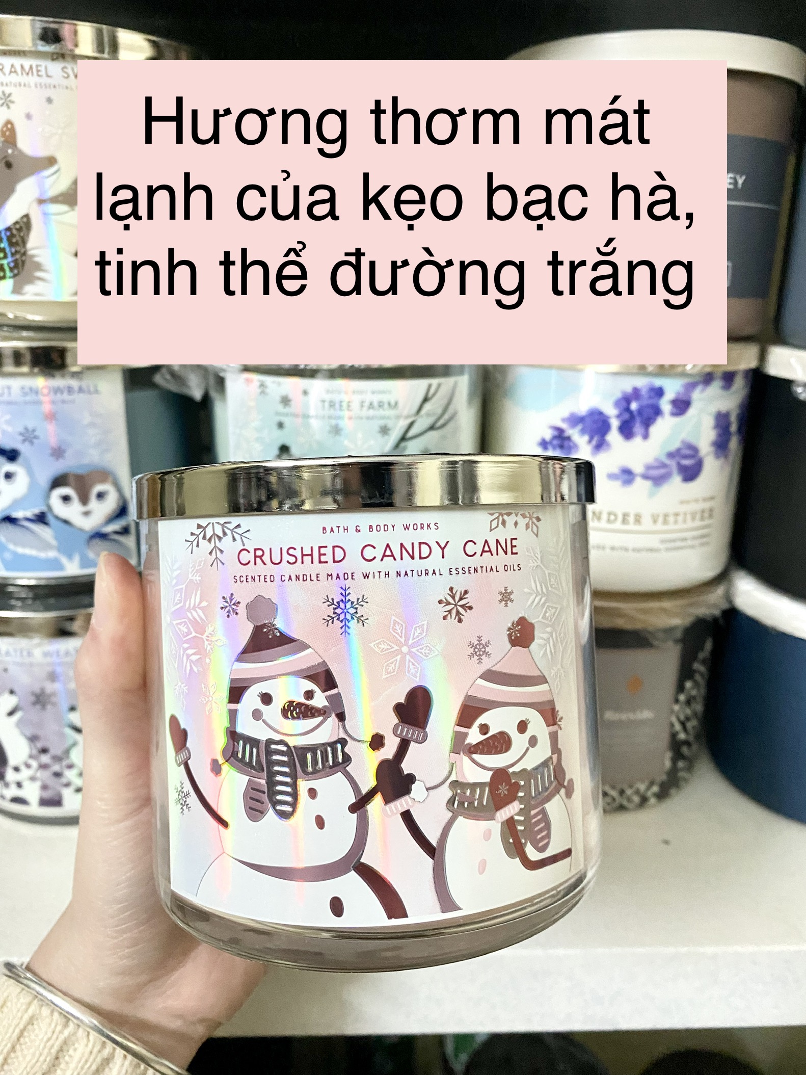 Nến thơm 3 bấc BATH AND BODY WORKS (BBW) 411g - Noel