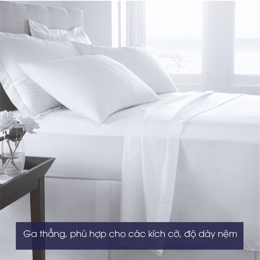 Changmi Bedding Premium Silk Cotton Bedding Set, Super Soft and Cool (4 Pieces)