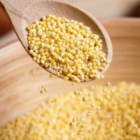 Hạt kê vàng đã tách vỏ hũ 500g .