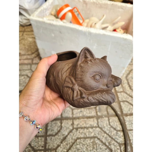 Chậu đất nung hình mèo