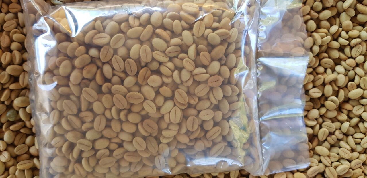 200 gram hạt giống cây cà phê xanh lùn hạt tuyển chọn bao nảy mầm - kèm giấy hướng dẫn ươm