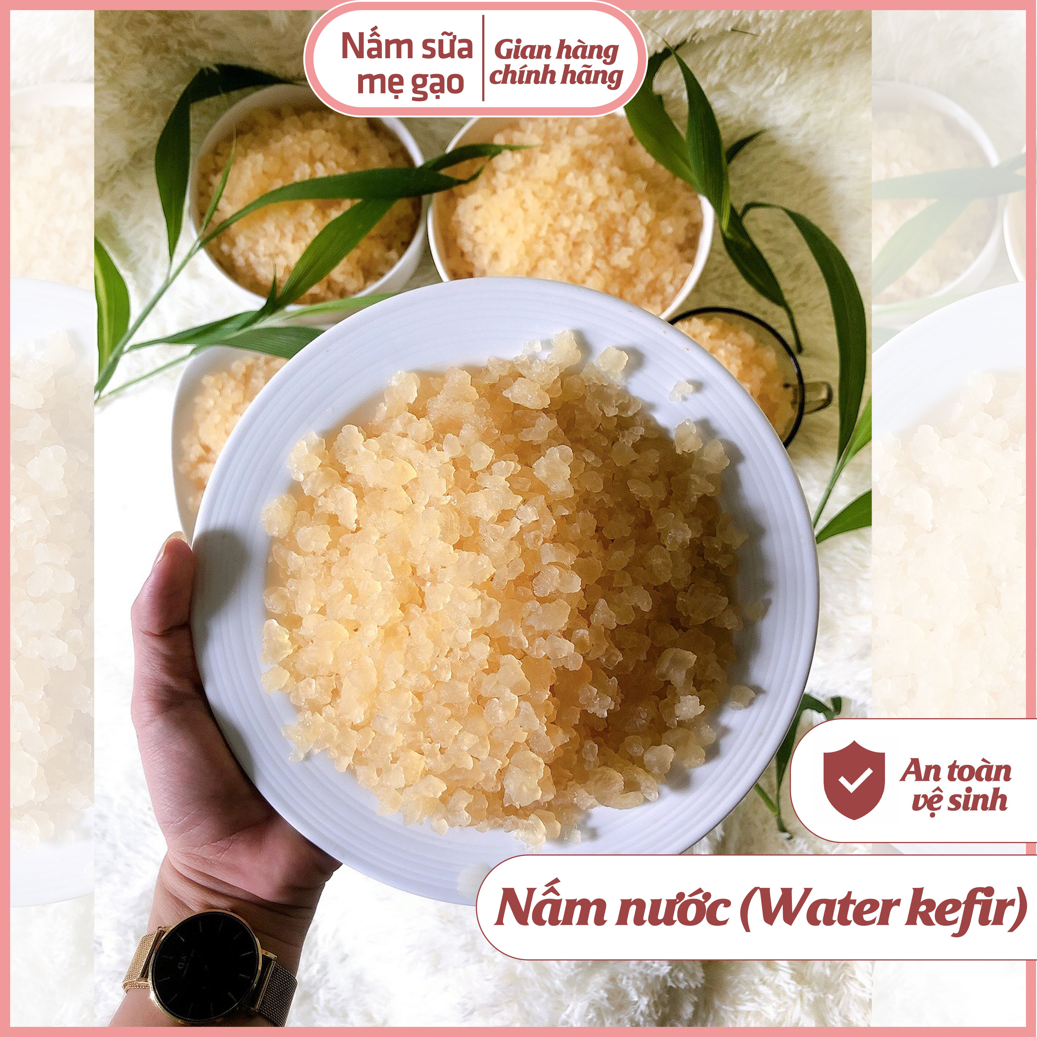 Nấm nước Nấm Sữa Mẹ Gạo - nấm nước kefir dừa 20gr thơm ngon tốt cho sức
