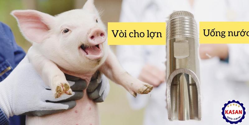 Vòi heo, vòi nước tự động cho heo, vòi lợn, vòi nước tự động cho lợn , vòi lợn inox, vòi heo inox, vòi tự động