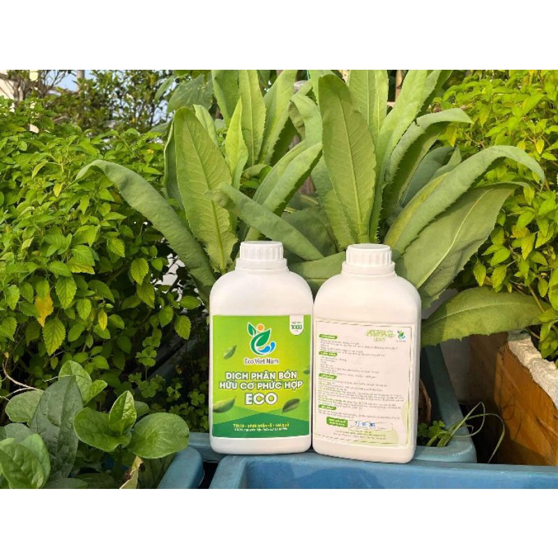 Dịch Phân Bón Hữu Cơ Eco Việt Nam. Dịch Trùn Quế..