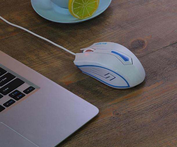 Chuột máy tính, chuột quang có dây DX7 (màu trắng)