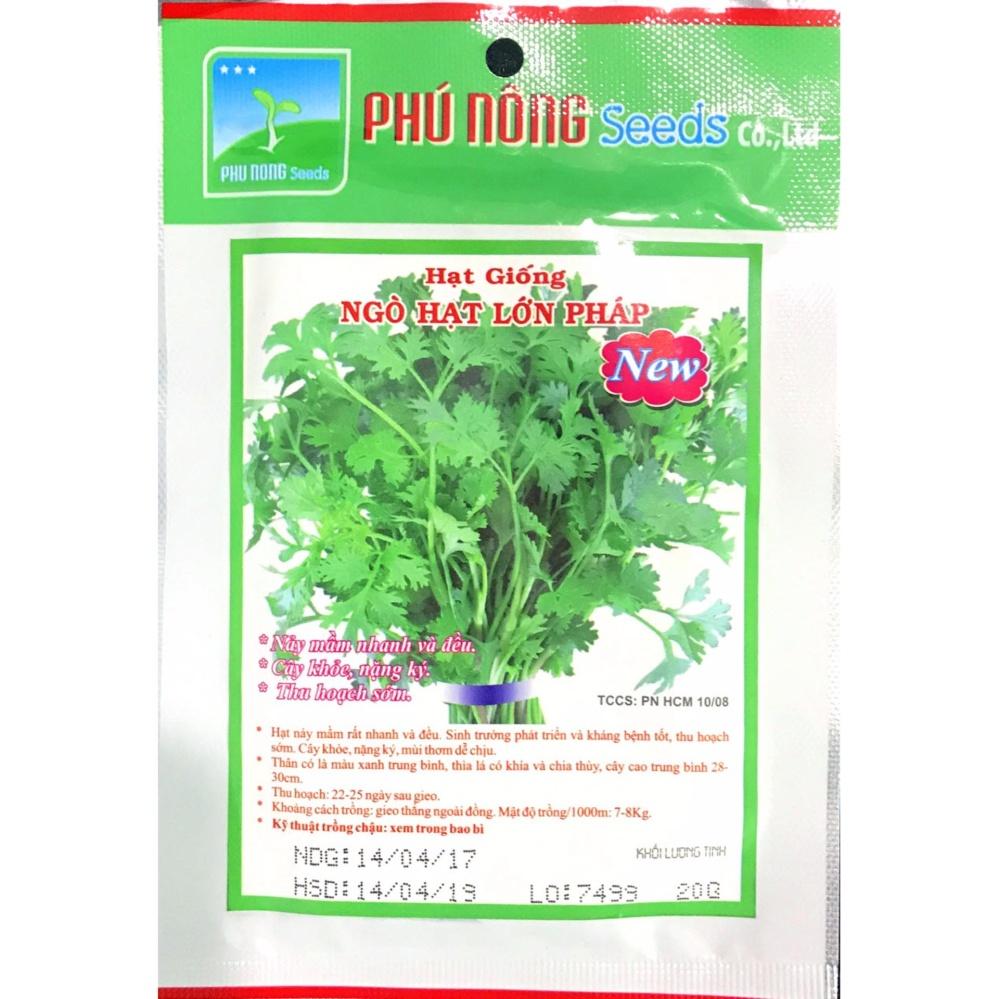 hạt giống ngò hạt lớn Pháp