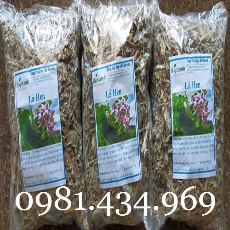 Lá Hen Khô 01 KG (Bàng Biển, Bồng Bồng, Lưỡi Bò) Sạch