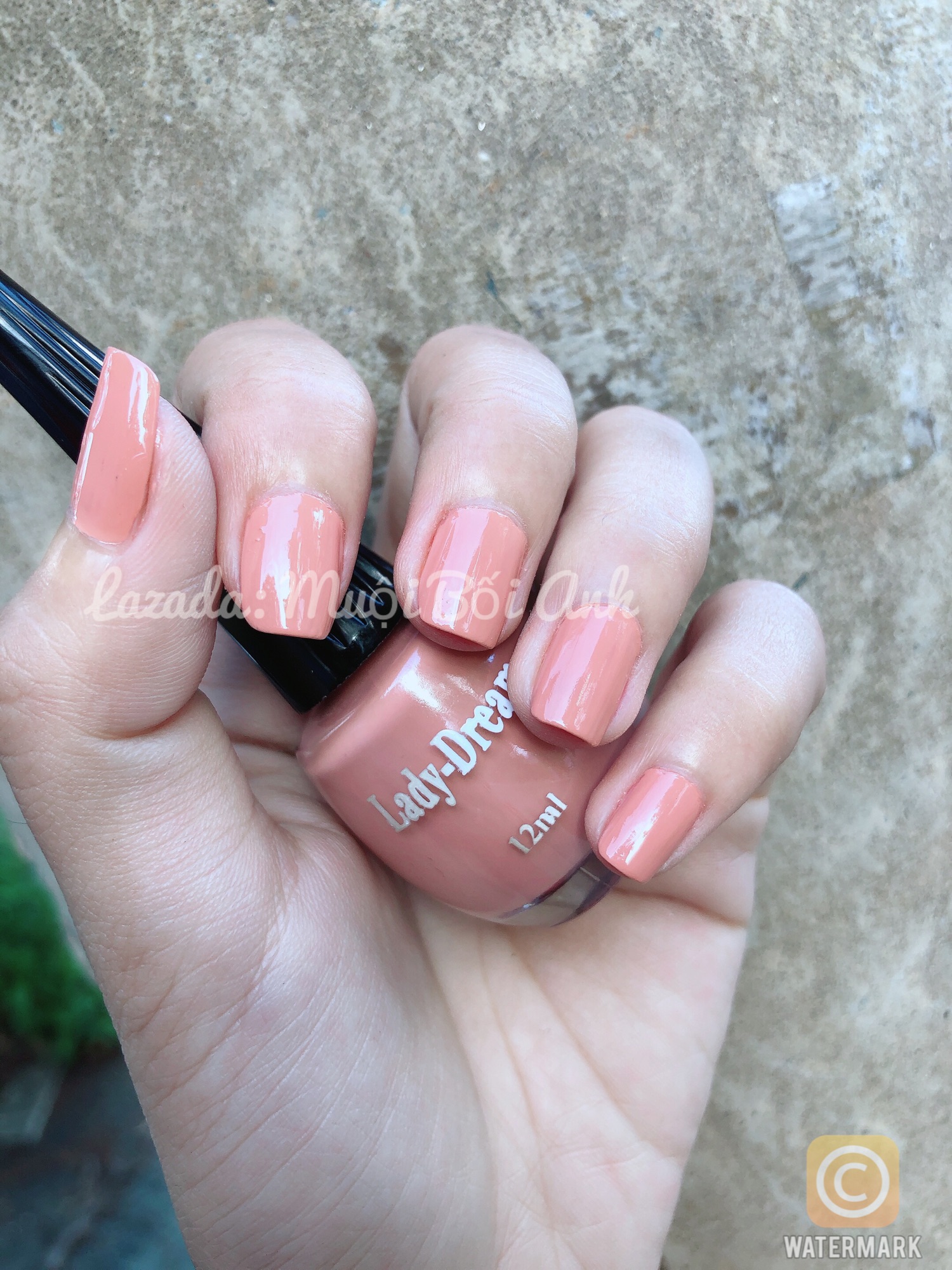 Sơn móng tay Ladydream 12ml - 271