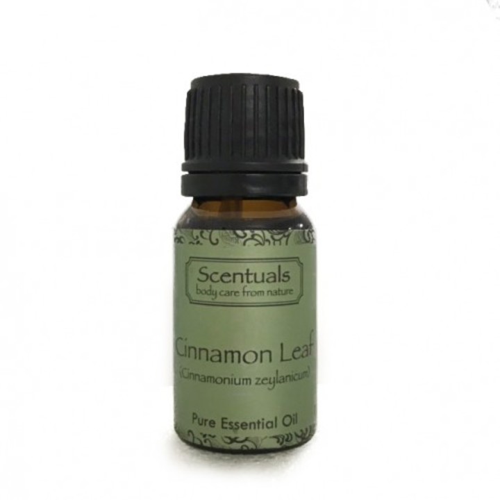 Tinh dầu Xông Phòng Hương Lá Quế Scentuals Cinnamon Leaf Pure Essential Oil 10ml
