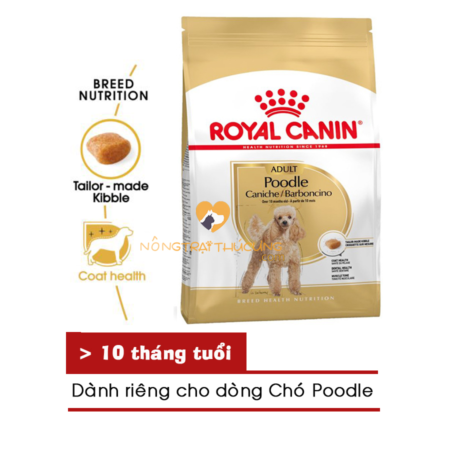 Thức ăn chó lớn Royal Canin POODLE ADULT 1.5kg - [Nông Trại Thú Cưng]