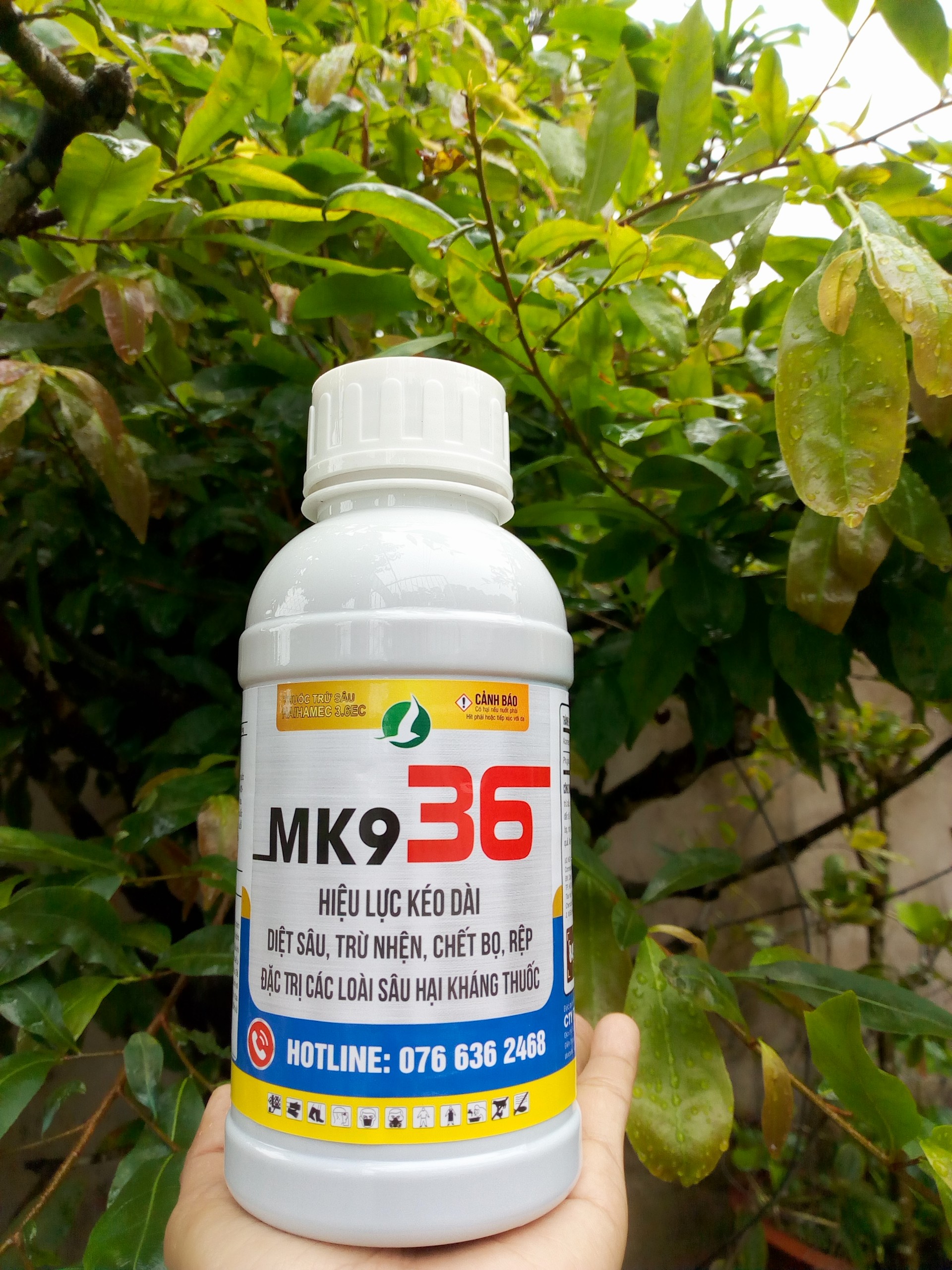 Abamectin 3.6 Diệt sâu - Trừ nhện, đánh bay bọ trĩ