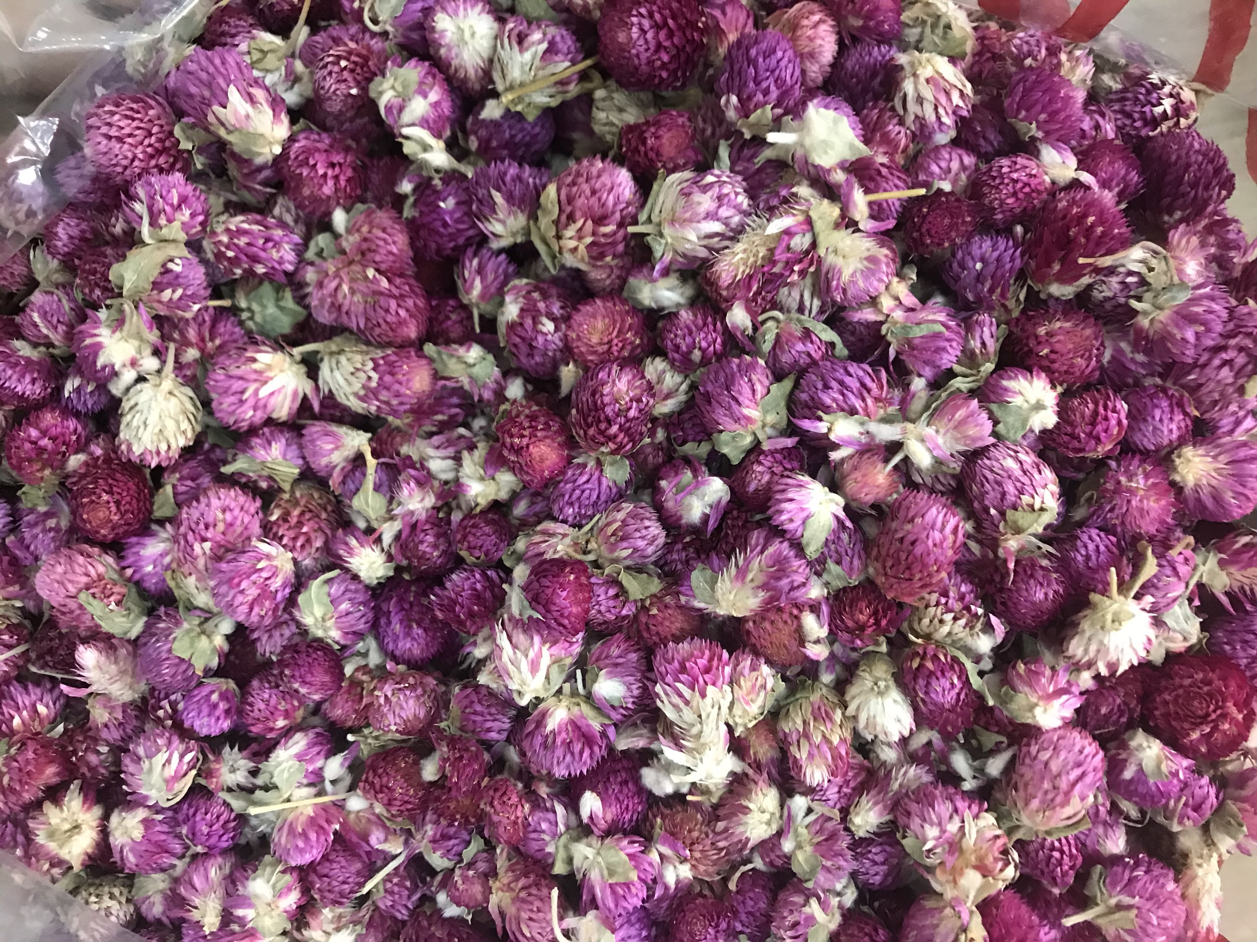 Hoa Cúc Bách Nhật Tím Sấy Khô|1KG