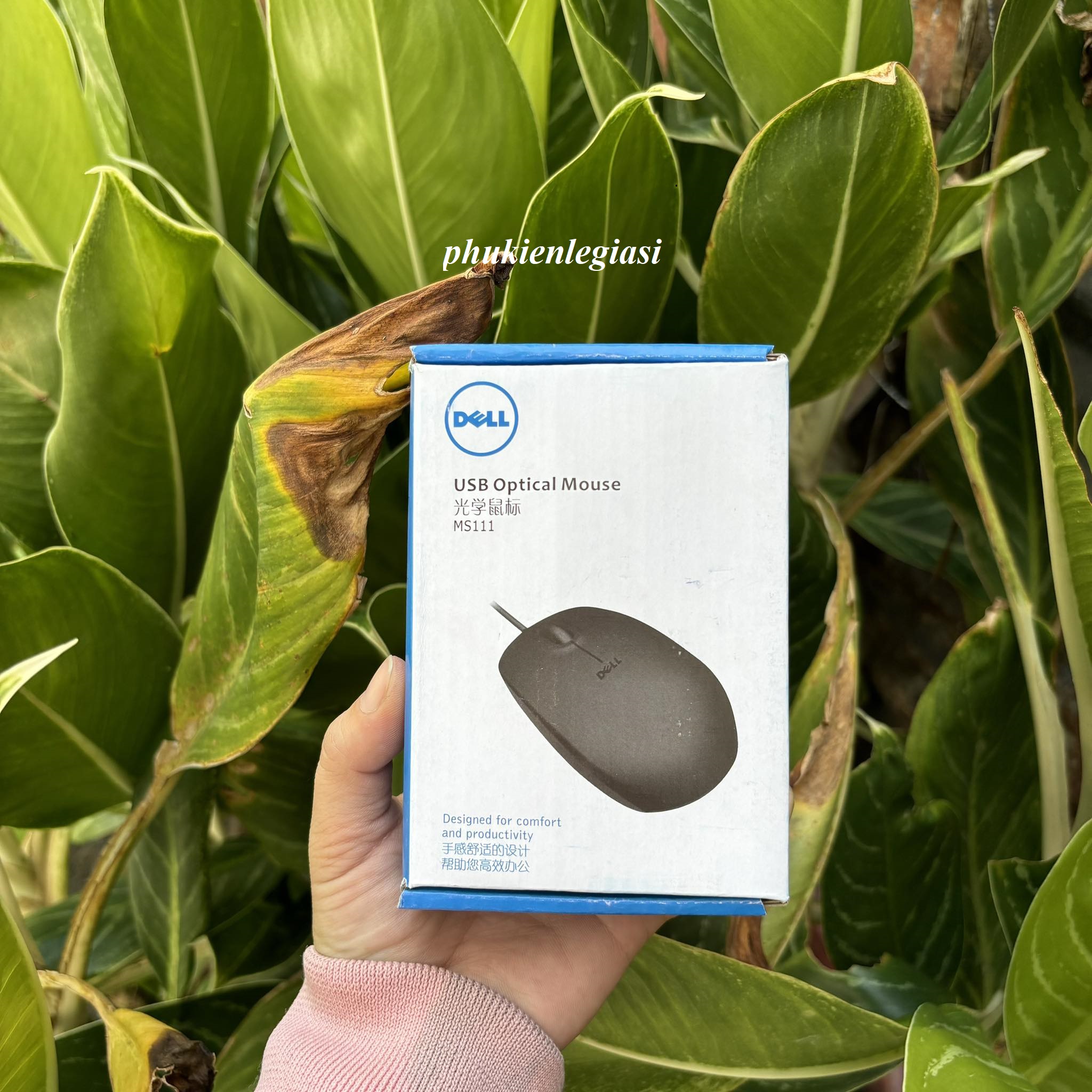 Chuột DELL MS111 Văn Phòng, Chơi Game