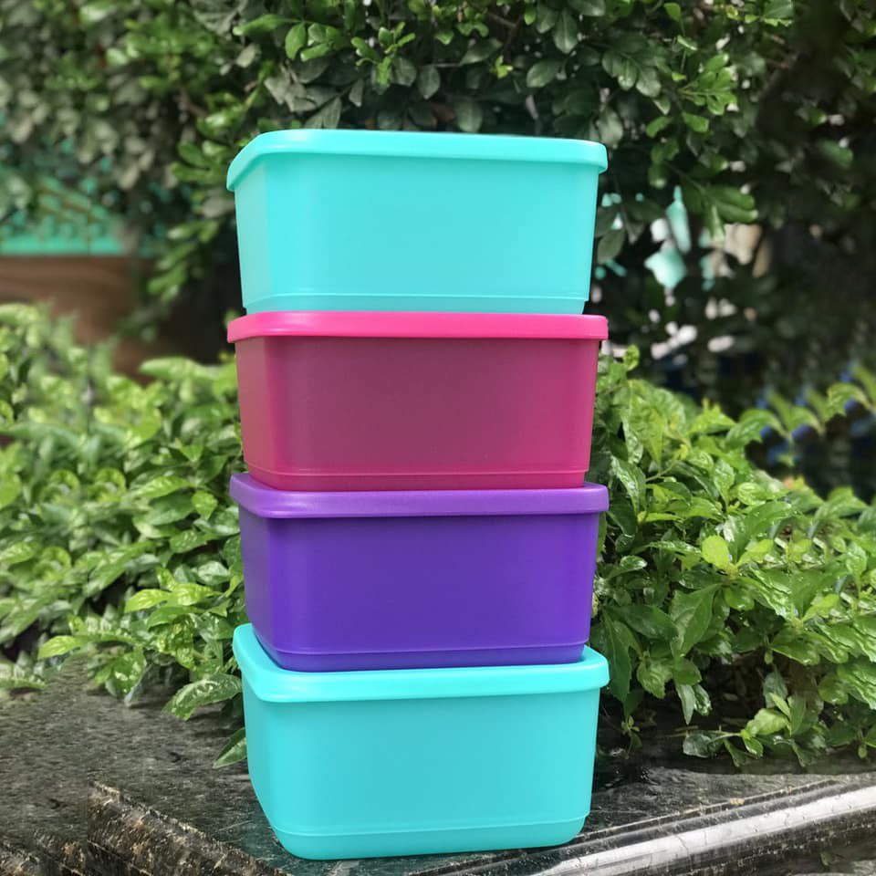 Bộ hộp bảo quản thực phẩm Tupperware Summer Fresh (4 hộp)