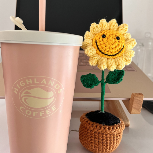 Chậu hoa hướng dương mặt cười