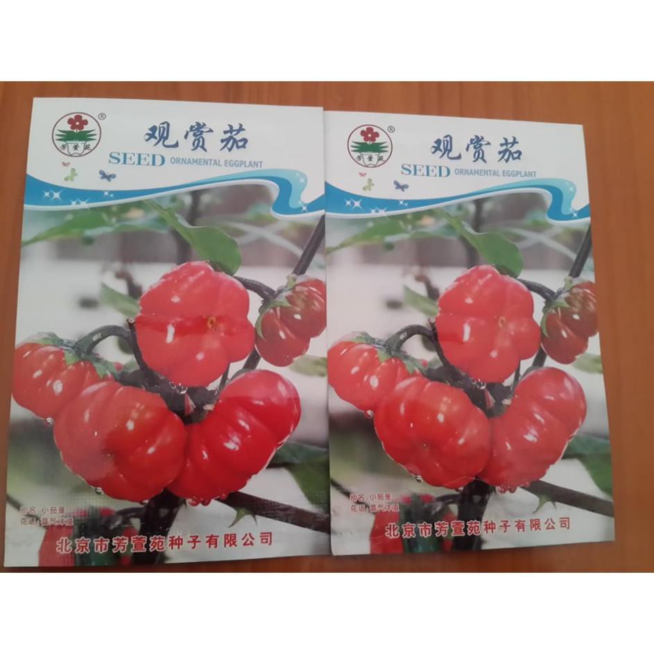 [HCM]Khu Vườn Hạt Giống Cà Chua Kiểng .