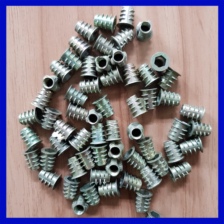 Túi ốc cấy gỗ phi 6 - 100 con