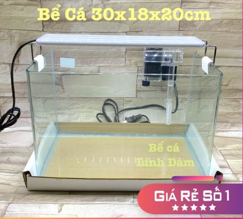 Bể kính đúc nhập khẩu bo cong cạnh mài vi tính kích thước 3020cm | hồ đúc | bể kính nuôi cá