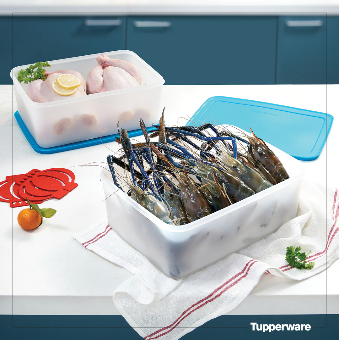 Hộp Trữ Đông Tupperware Freezermate Gen II 5.7L (1 Hộp)