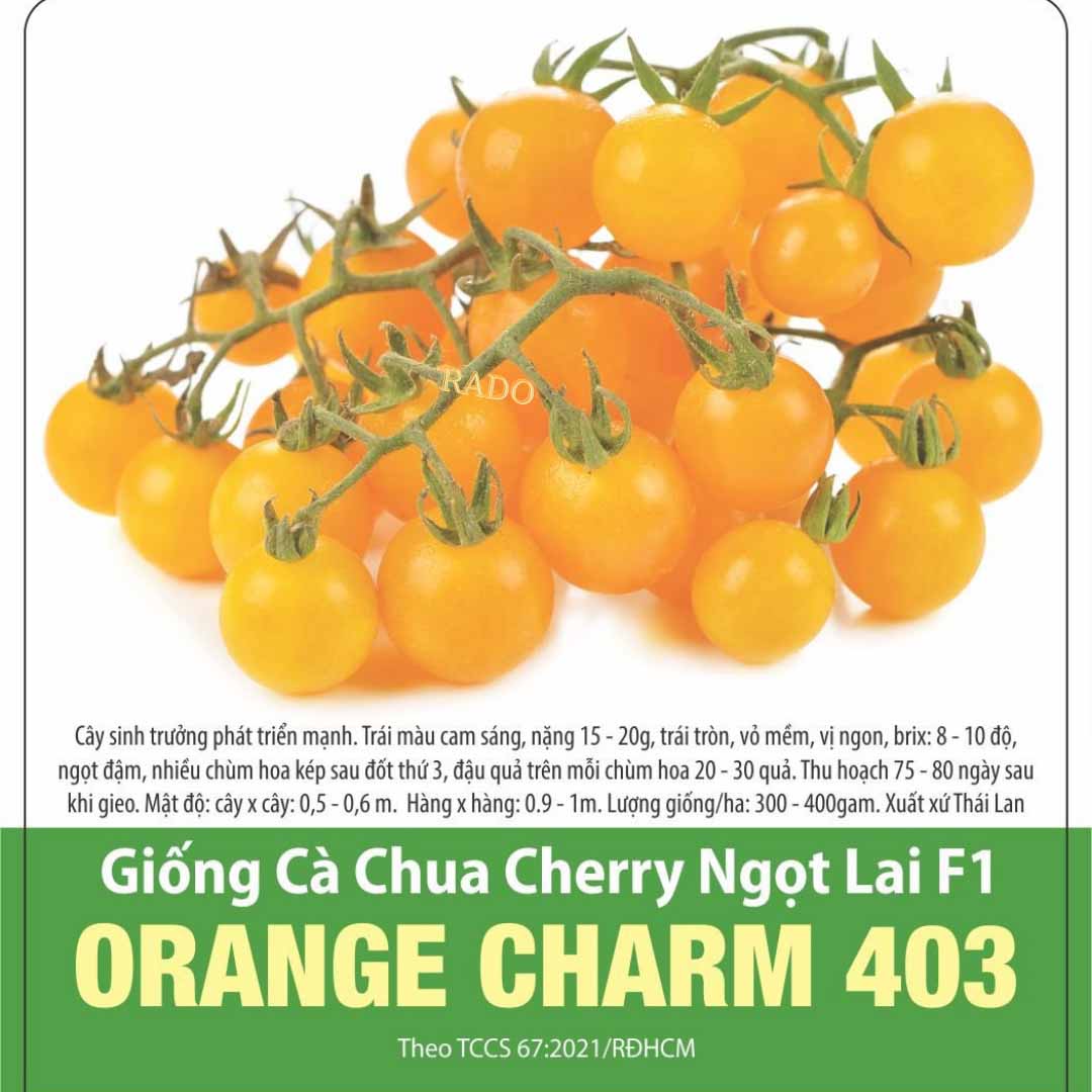 5H - Hạt giống cà chua cherry vàng ngọt