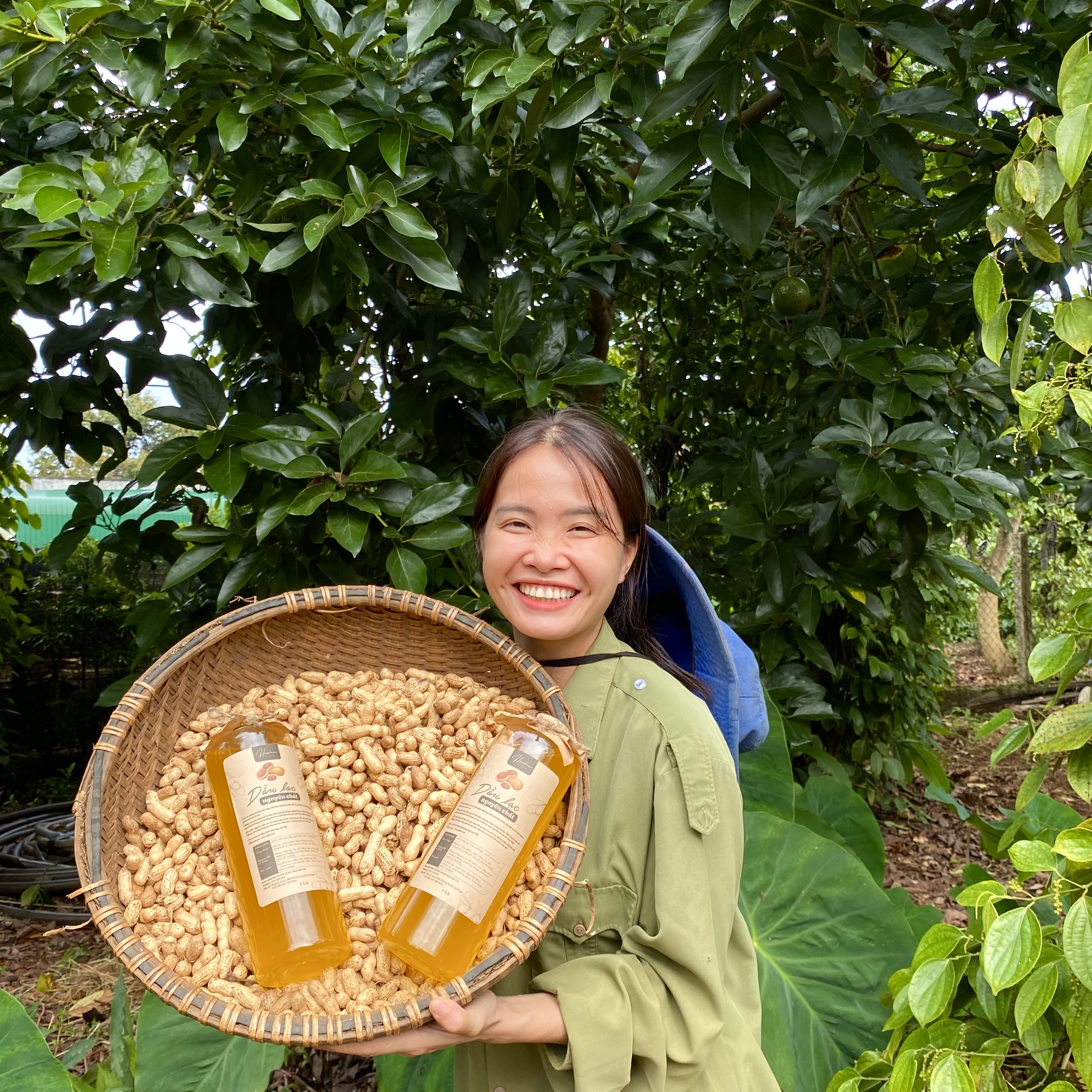 Dầu lạc, dầu phộng ép nguyên chất Đăk Lăk