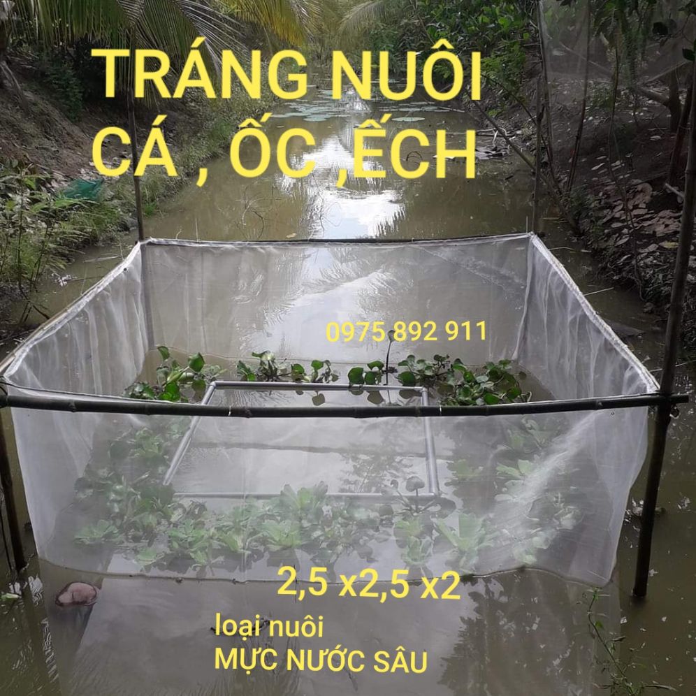 TRÁNG NUÔI CÁ , TRÊ , CHUÔI HOA , ỐC ẾCH
