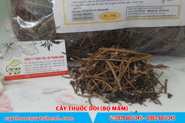 Combo 2Kg Cây Thuoc Dòi Khô (Cây Bọ Mắm) - Thảo Dược Thanh Bình
