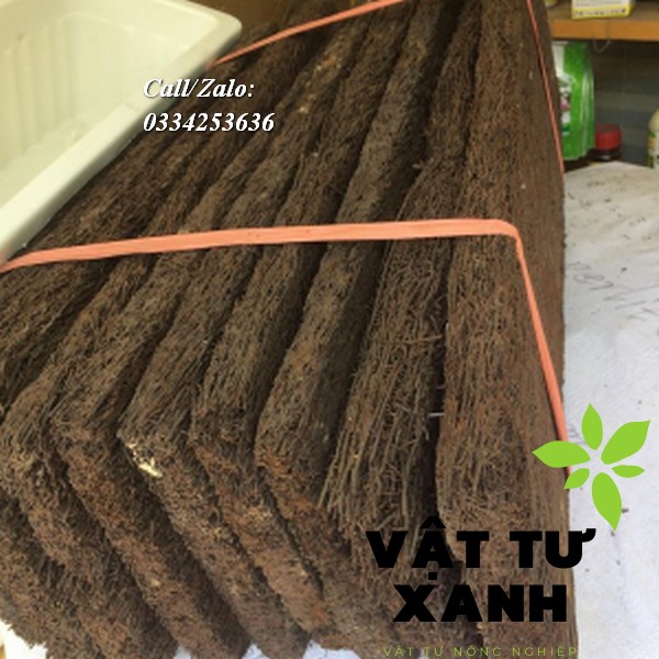 Dớn bảng to trồng lan kích thước 60x20 cm