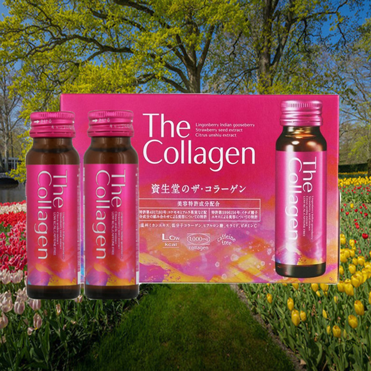 Nước Uống Nhật Bản Collagen Hộp 10 Chai The Collagen